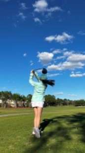 Professional Curriculum System